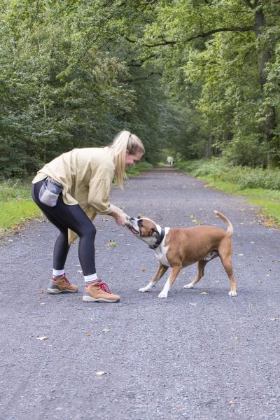 hundestundeMuensterHundeschule03