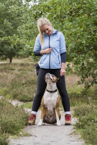 hundestundeMuensterHundeschule09